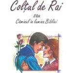 COLTUL DE RAI
