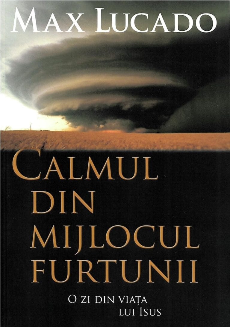 Calmul din mijlocul furtunii 2