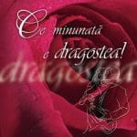 Ce Minunată E Dragostea! - Ediţie Romantică