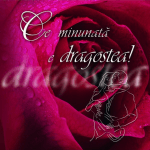 Ce minunată e dragostea! Ediţie romantică