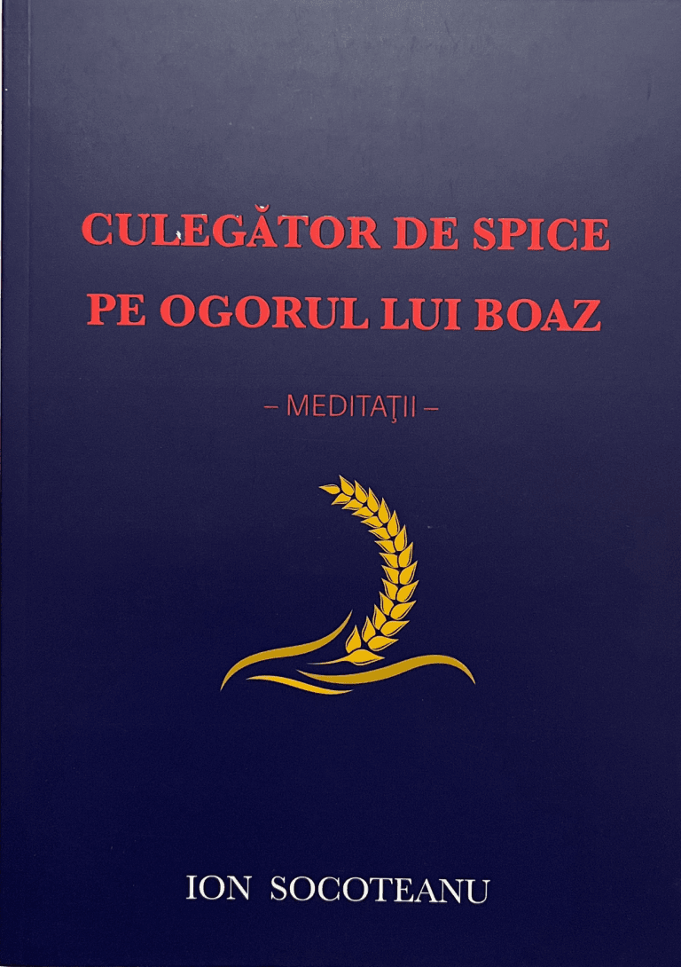 Culegător de spice pe ogorul lui Boaz