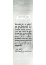 Prigoniți dar nu părăsiți - imagine 3