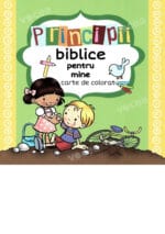 Principii biblice pentru mine