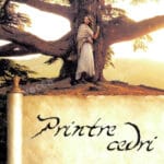 Printre cedri