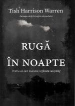 Rugă în noapte