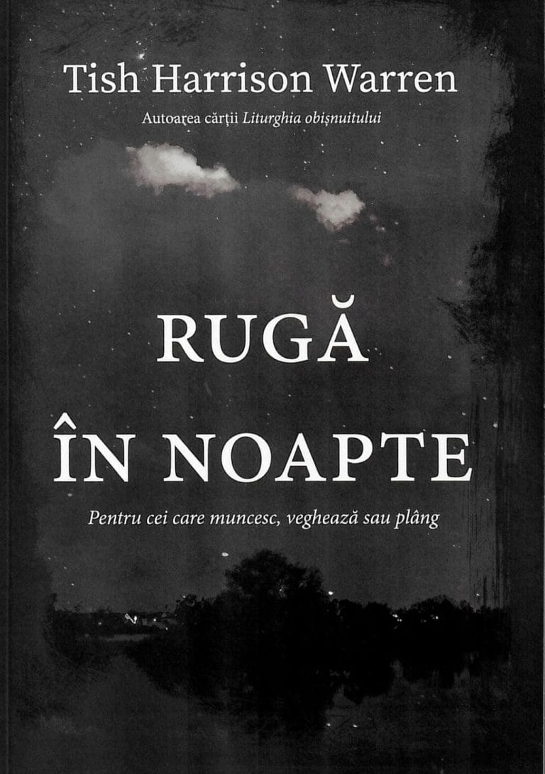 Ruga in noapte 2