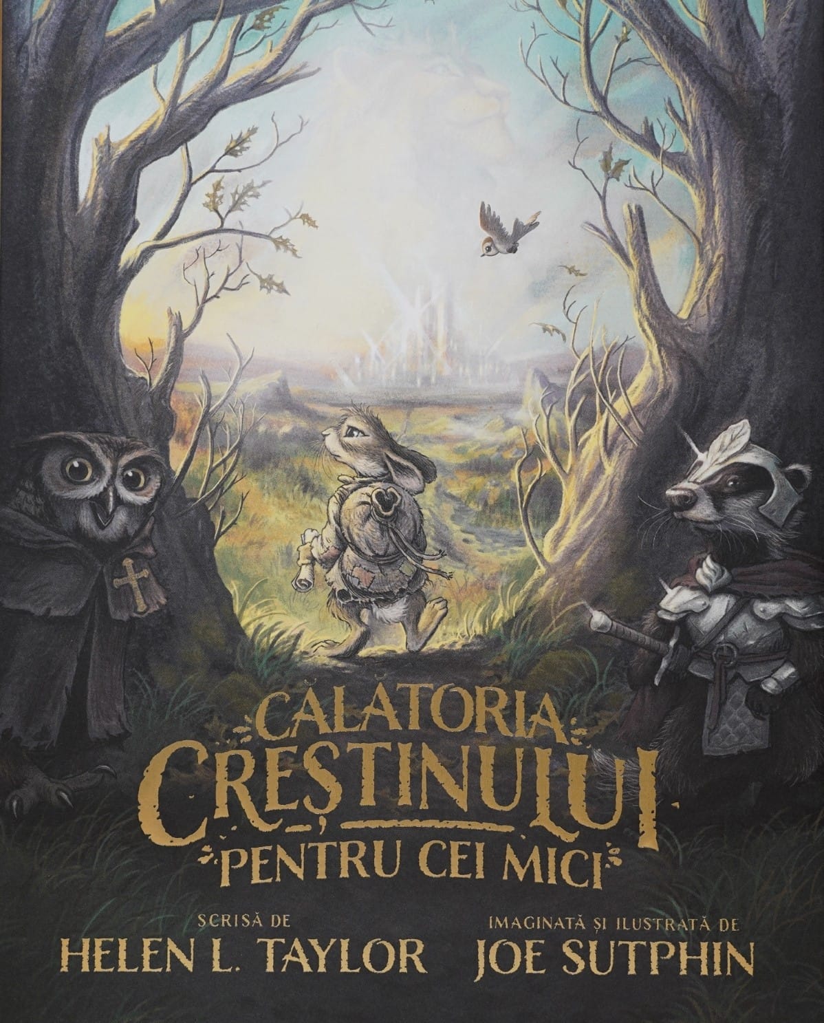 Copie a Stephanus 02 - stp24-1 Călătoria Creștinului pentru cei mici - imagine 1