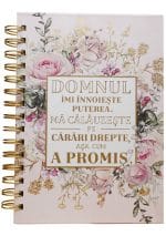 Jurnal Domnul îmi înnoieste puterea