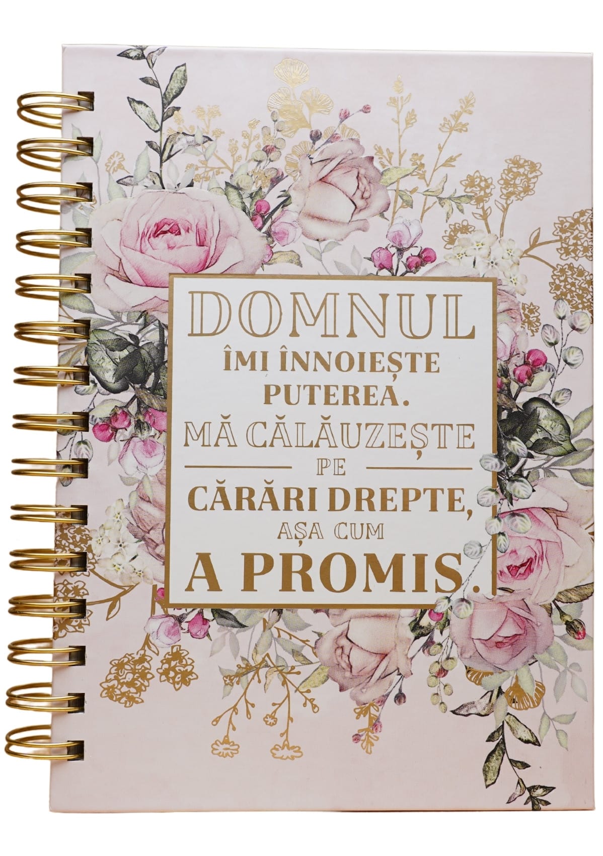 ST3311-1 Jurnal Domnul îmi înnoieste puterea - imagine 1
