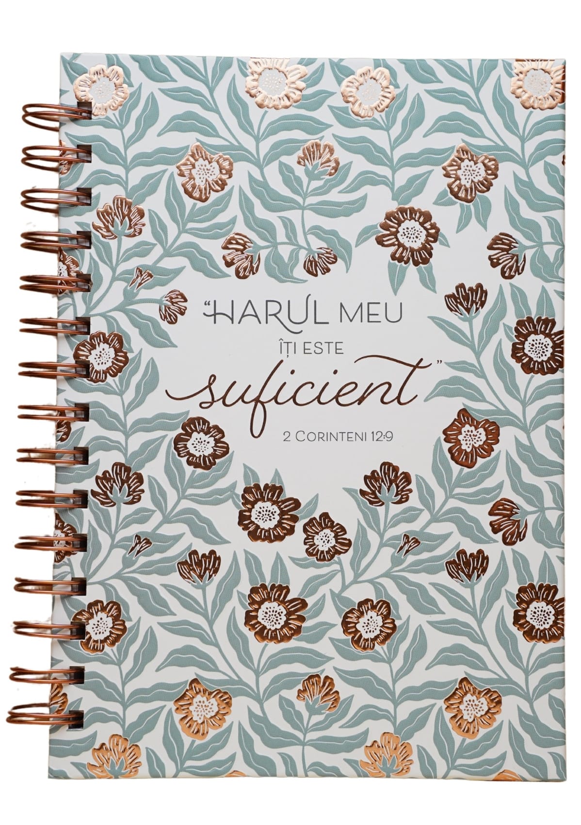 ST3316-1 Jurnal Harul Meu îți este suficient - imagine 1