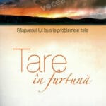 Tare în furtună