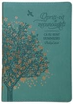 Jurnal Opriți-vă și recunoașteți