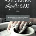 Asemenea chipului Său