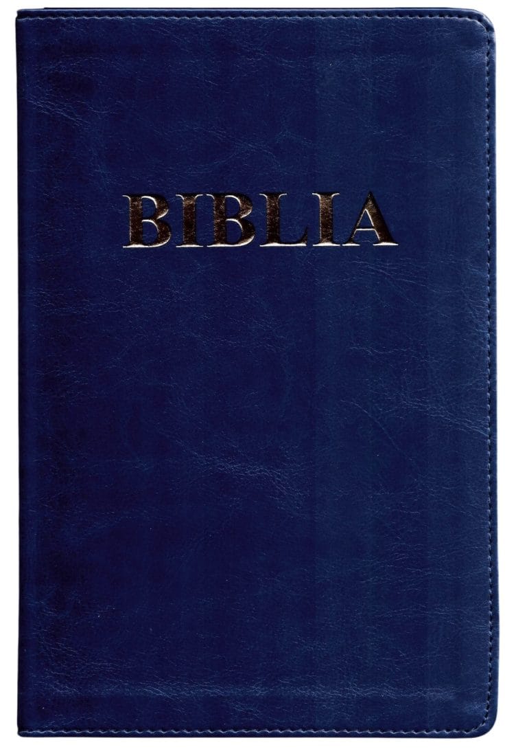 Biblia 1 1