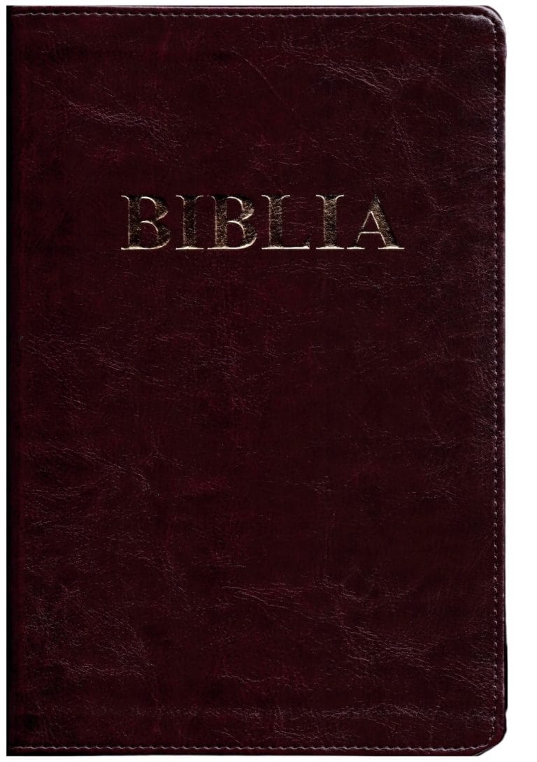 Biblie mare Vișiniu închis 073