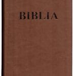 Biblie mare 073 Maro deschis