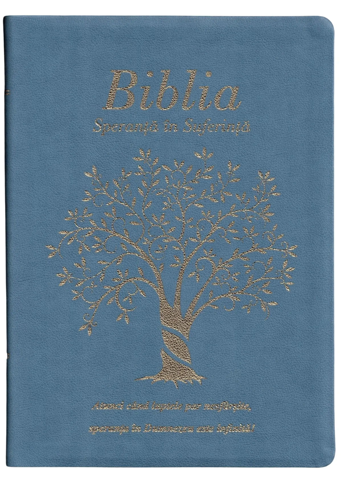 Biblia Speranță în Suferință Albastru