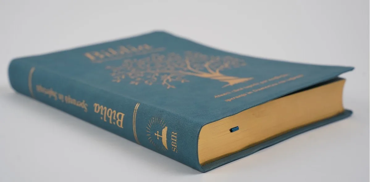 Biblia Speranță în Suferință Albastru - imagine 3