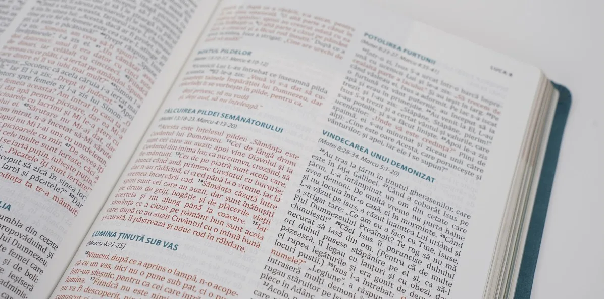 Biblia Speranță în Suferință Albastru - imagine 4