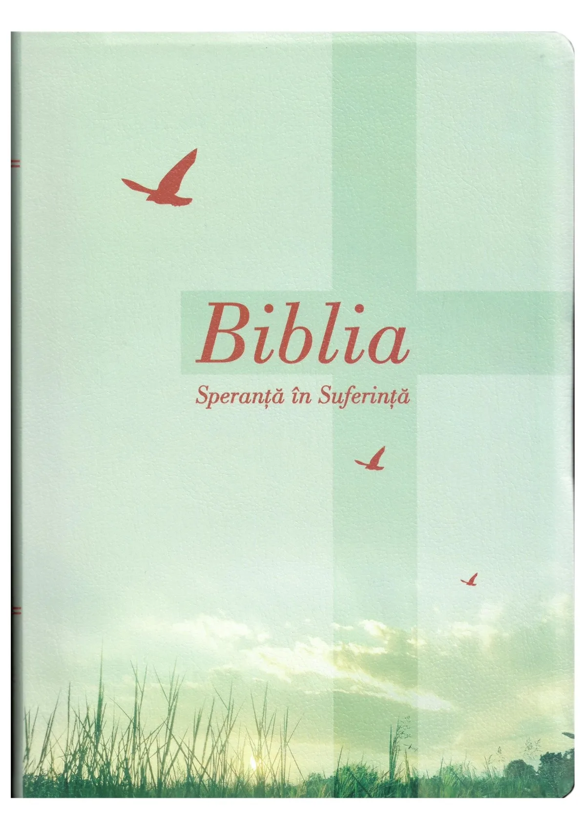 Biblia Speranță în Suferință - Verde Deschis