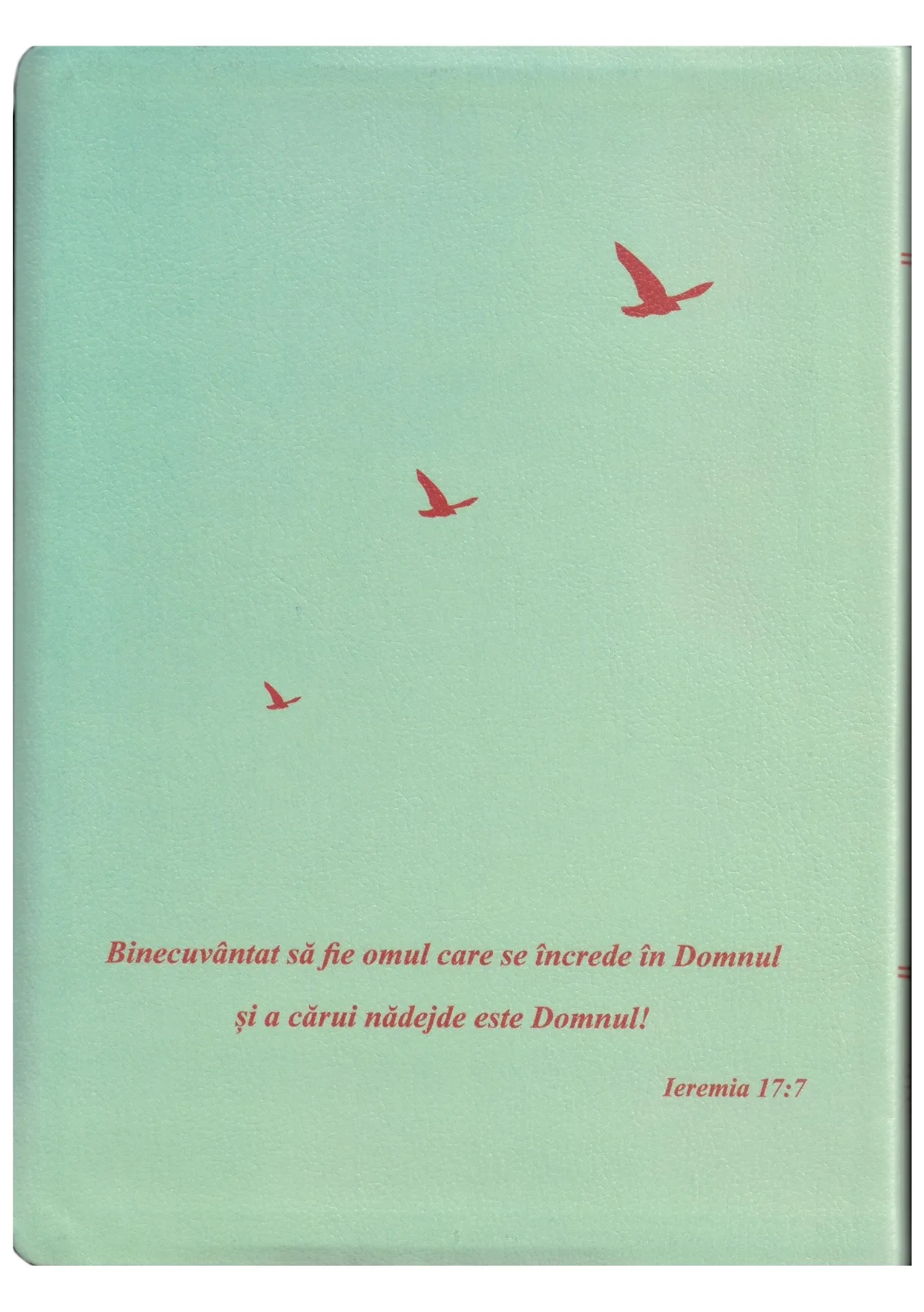 Biblia Speranță în Suferință - Verde Deschis - imagine 2