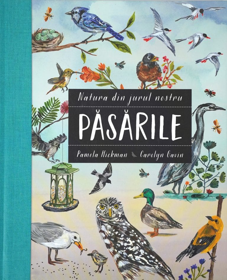 Natura din jurul nostru Pasarile 1