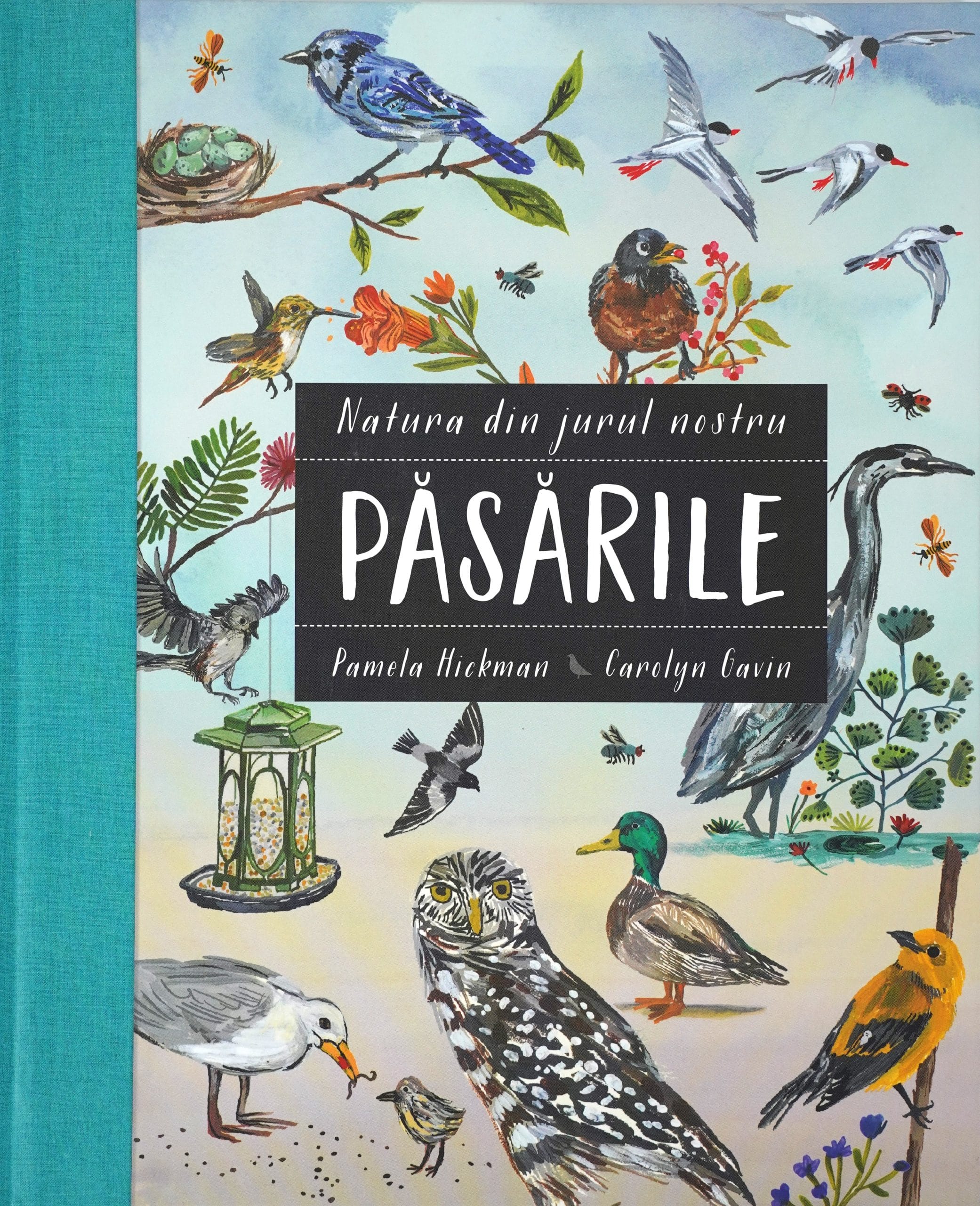 Natura din jurul nostru-Pasarile-1 Natura din jurul nostru Păsările - imagine 1