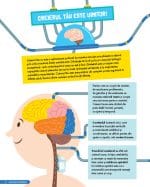 Impresionantul creier uman - imagine 5