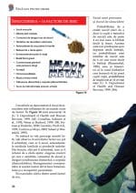 Sănătate pentru creier - imagine 5