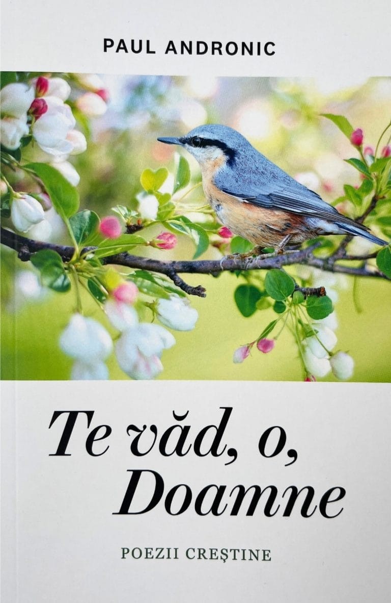 Te văd o Doamne