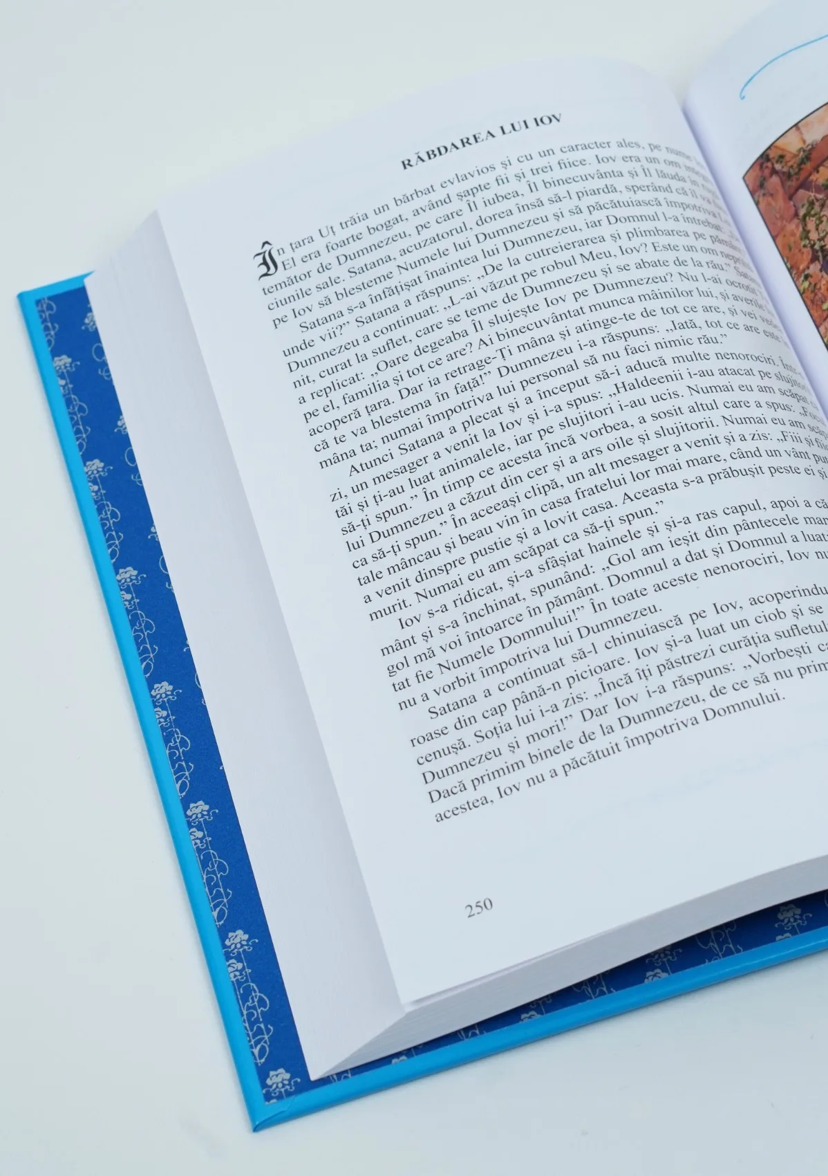 Biblia pentru copii 1992 (Biblia albastra) - imagine 3