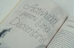 Pregătiri pentru Crăciun - imagine 5
