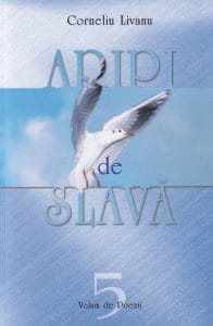 Aripi de slavă