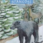 Aventuri în Munţii Stâncoşi