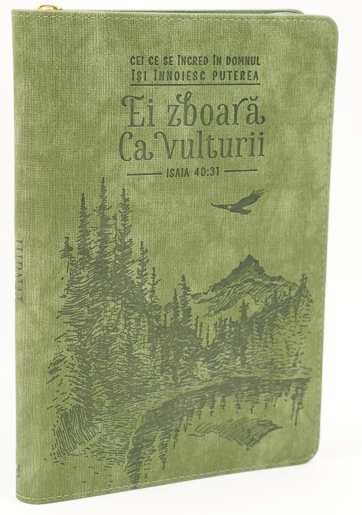 Jurnal Ei zboară ca vulturii Jurnal Ei zboară ca vulturii
