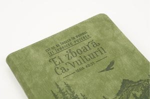 Jurnal Ei zboară ca vulturii 2 Jurnal Ei zboara ca vulturii2