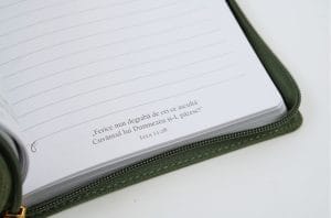 Jurnal Ei zboară ca vulturii 1 Jurnal Ei zboara ca vulturii3