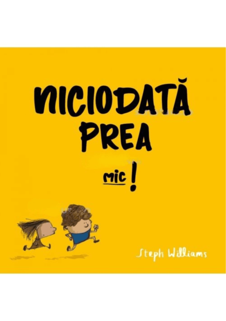 Niciodata prea mic