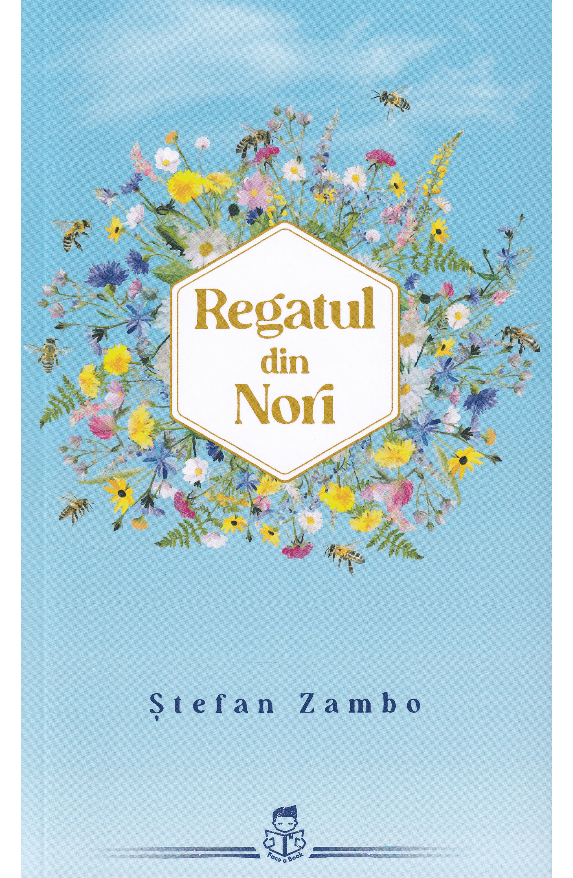 Regatul din nori Regatul din Nori - imagine 1