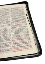 Biblia Centenara 076 ZTI Neagra Piele naturala - imagine 2