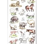 Abțibilduri tematică biblică Animale