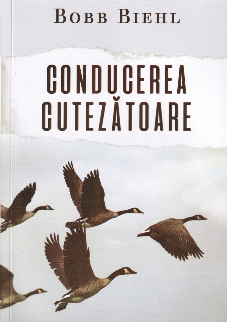 Conducerea cutezătoare