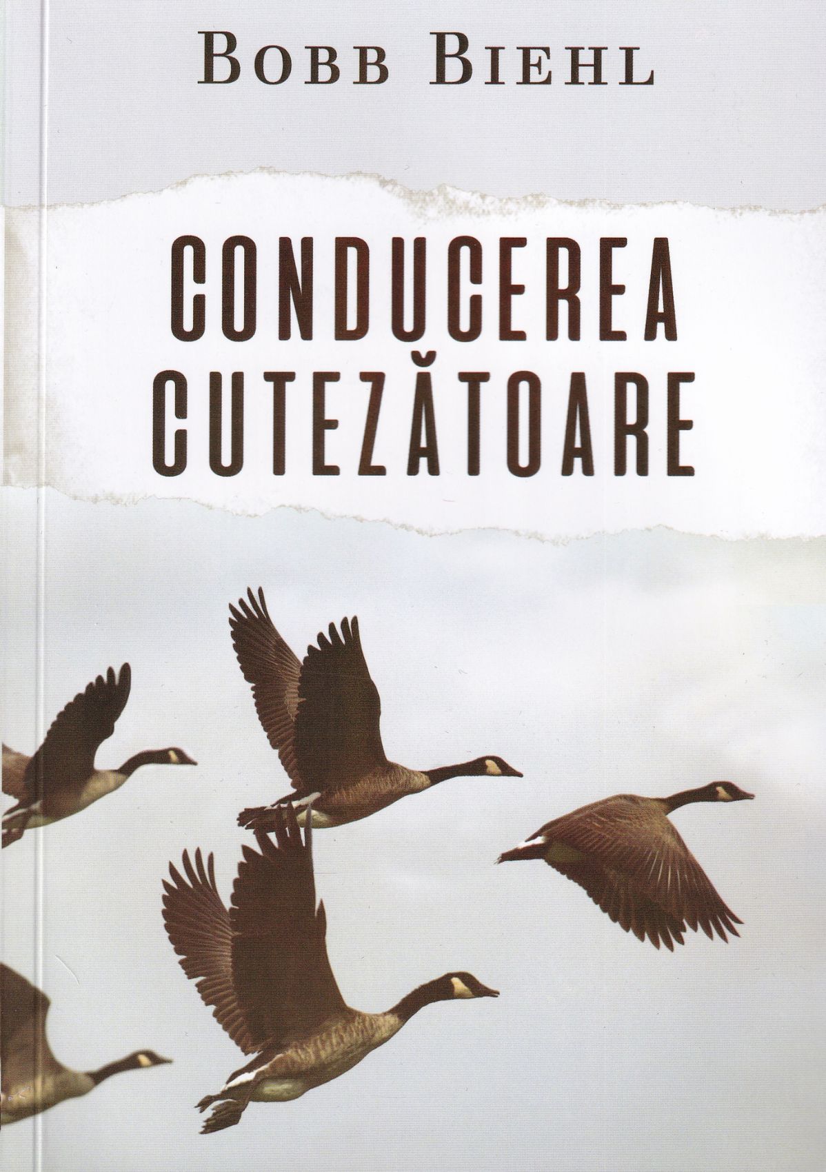 Conducerea cutezatoare Conducerea cutezătoare