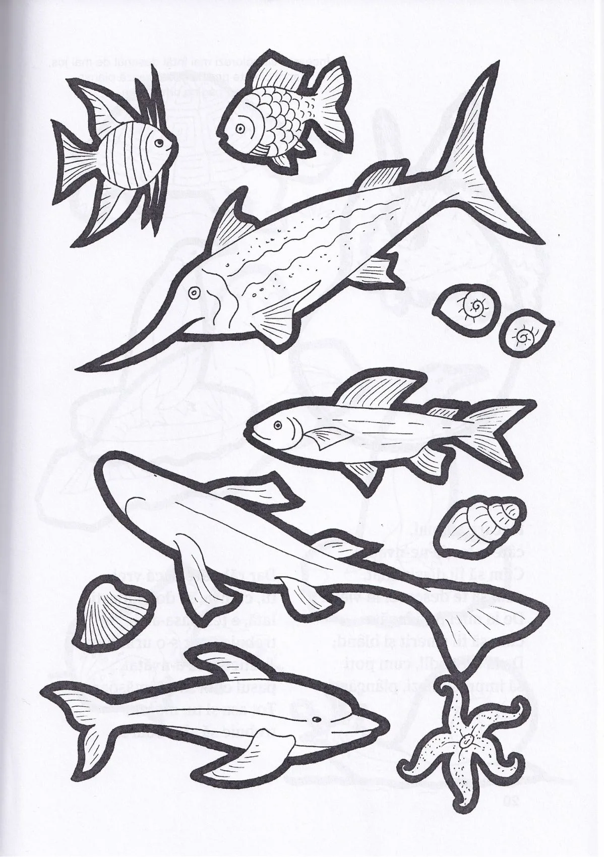 Creația în culori - imagine 3