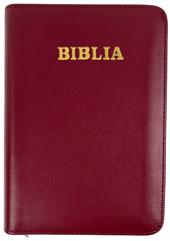 Biblie medie 057 ZTI Vișiniu