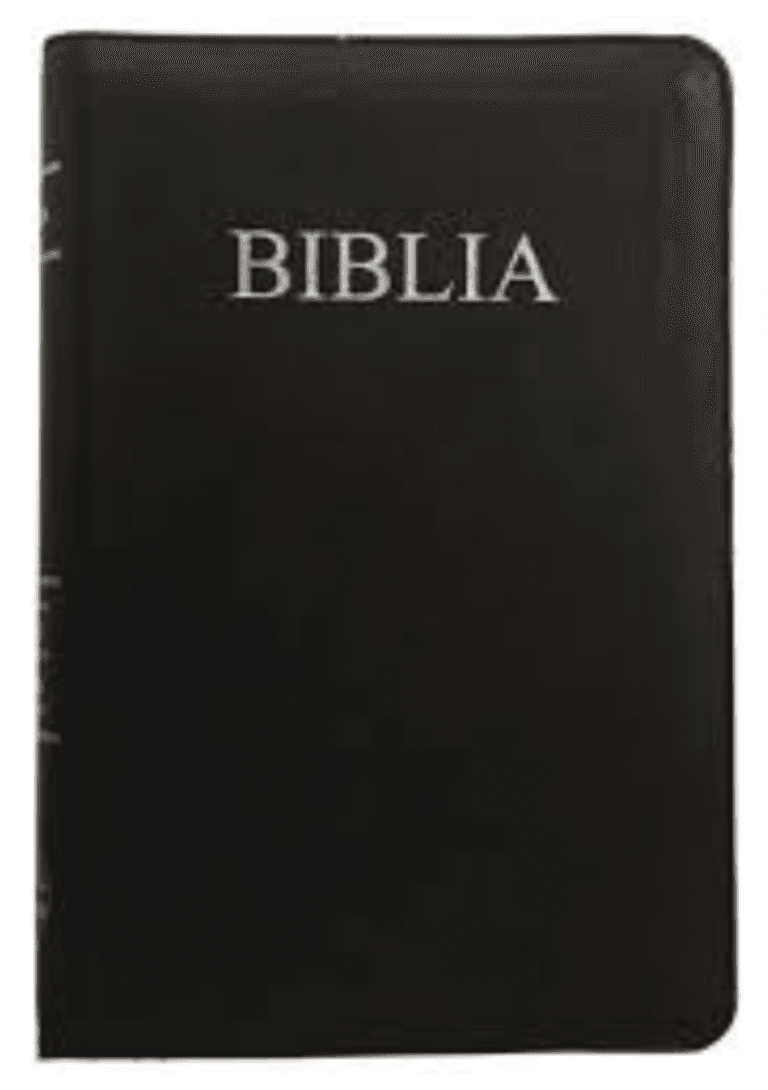 Biblie mare Negru 077 ZTI