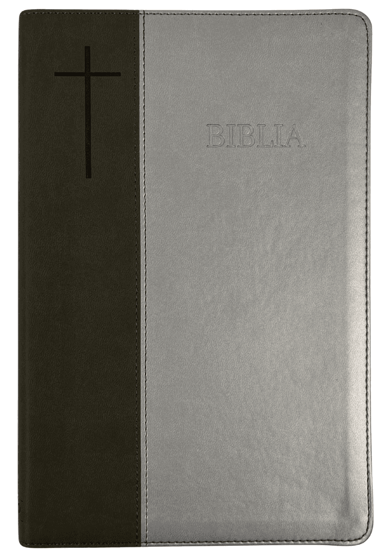 Biblia Centenară 076 TI Gri-Argintiu