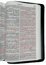 Biblie mare ZTI Maro închis cu Cruce - Piele naturală - imagine 2