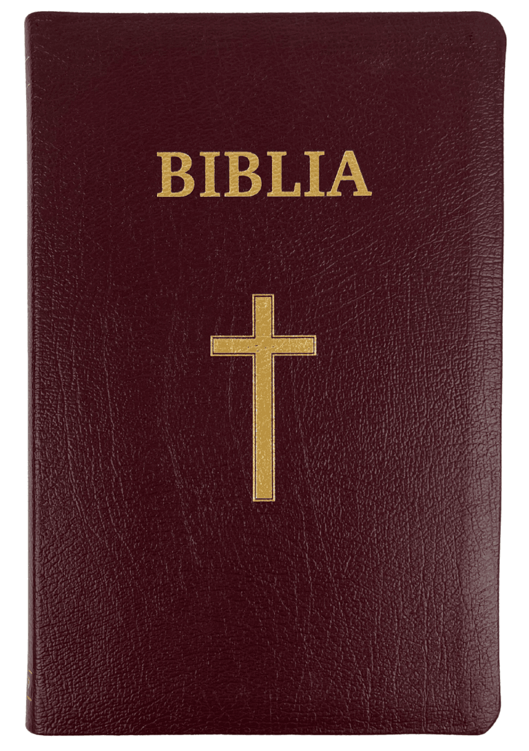 Biblia Centenară 076 TI Vișiniu Piele naturală