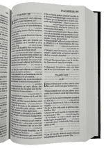 Biblie medie 060 TBS - imagine 5